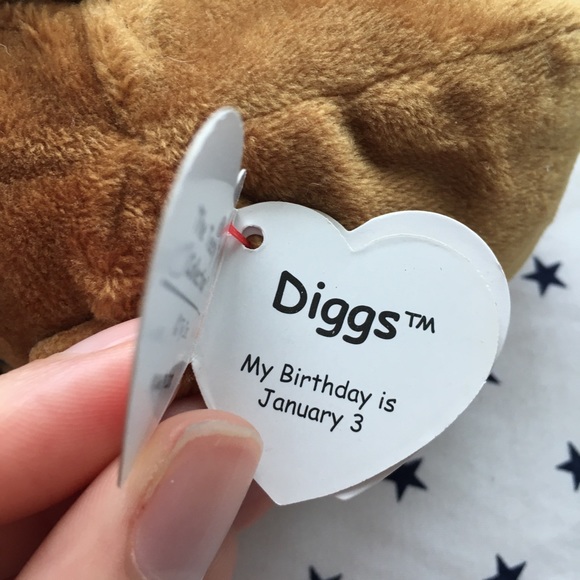 ♦️(SOLD)♦️Teeny Tys Diggs the Boxer Mini Plush NWT - Picture 4 of 5